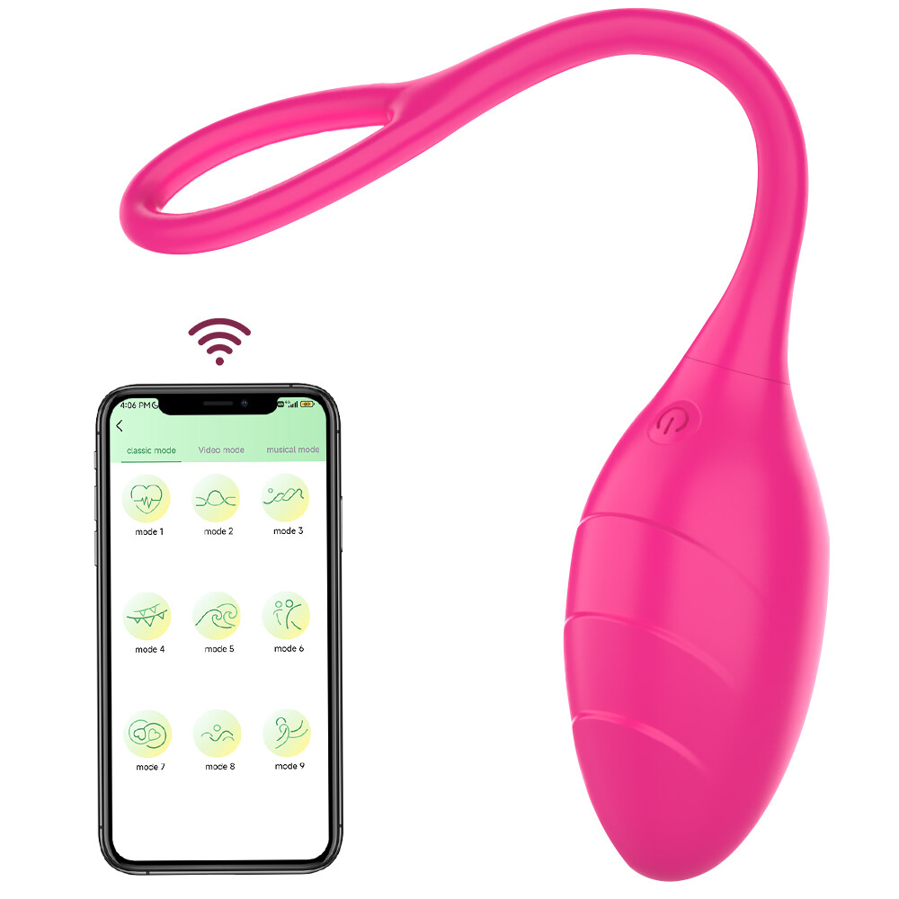 NEW Vibrating Women Panties Massager Wireless APP Control Waterproof Underwear