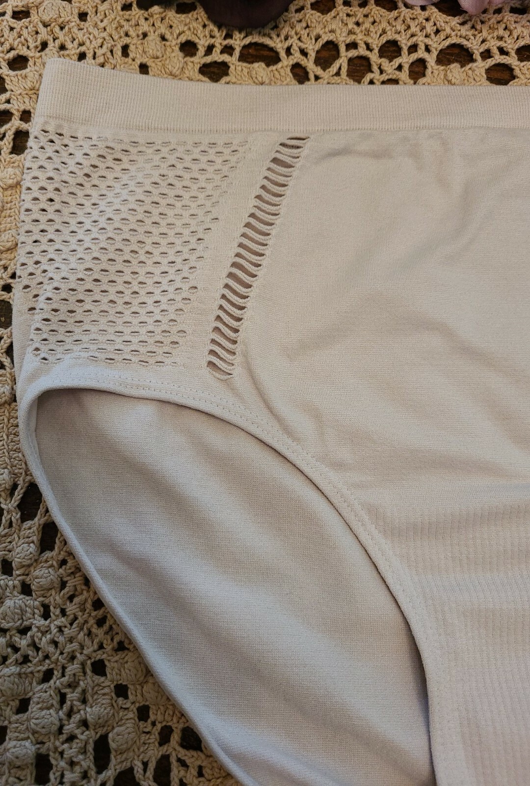 L/7 UNDER CONTROL INTIMATES SeXy Cool Mesh Vibes Brief Panty ~NW0T