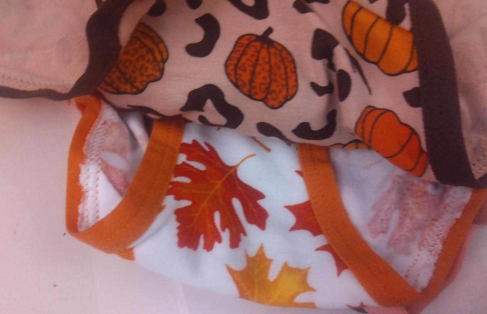 Celebrate Fall Ladies 3 Pack Fall Themed Bikini/Hipster – New (Lot Of 2)