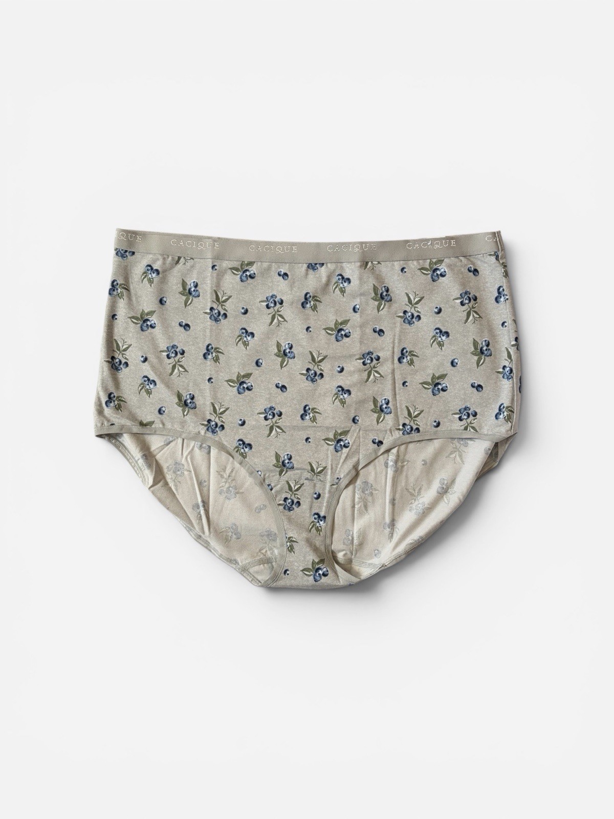 Lane Bryant Cacique Cotton High Waist Brief Panty 22/24 Blueberries