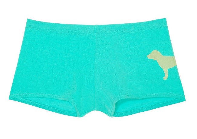 Victoria’s Secret PINK Shortie Panty Dog Logo on Hip sz L ~You Pick Color