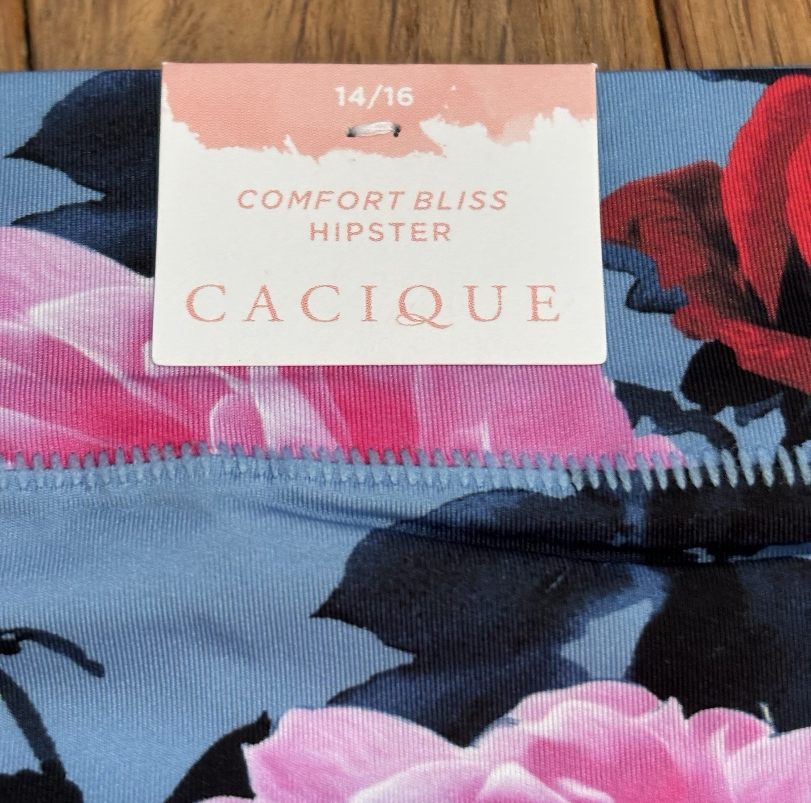 Plus Sz 14/16 Lane Bryant Cacique Comfort Bliss Hipster Nylon Dusty Blue Rose