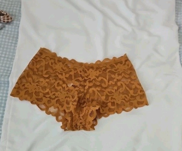 Lace Floral Boyshort Cheeky Panties for Women, Brown Beige, 2 Pack