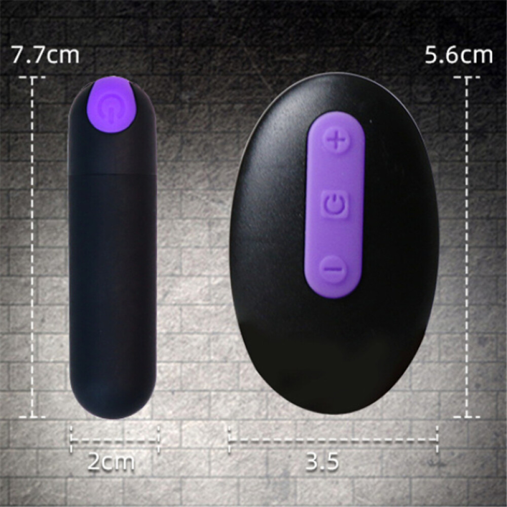 Vibrating Women Panties Massager Wireless Bullet Remote Control Waterproof