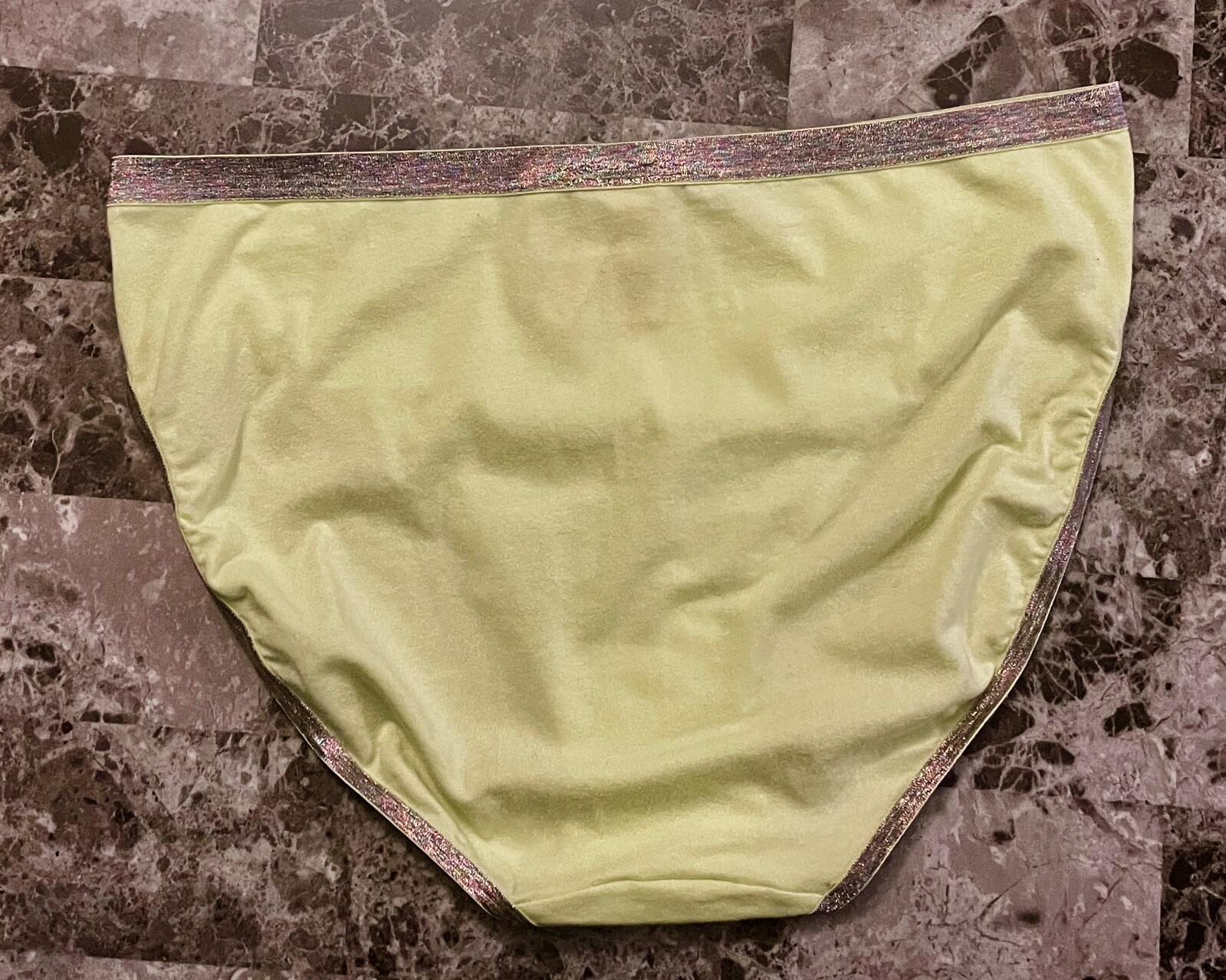 NWT VICTORIA’S SECRET LARGE RAINBOW SHIMMER TRIM RARE HIGH LEG BRIEF PANTIES