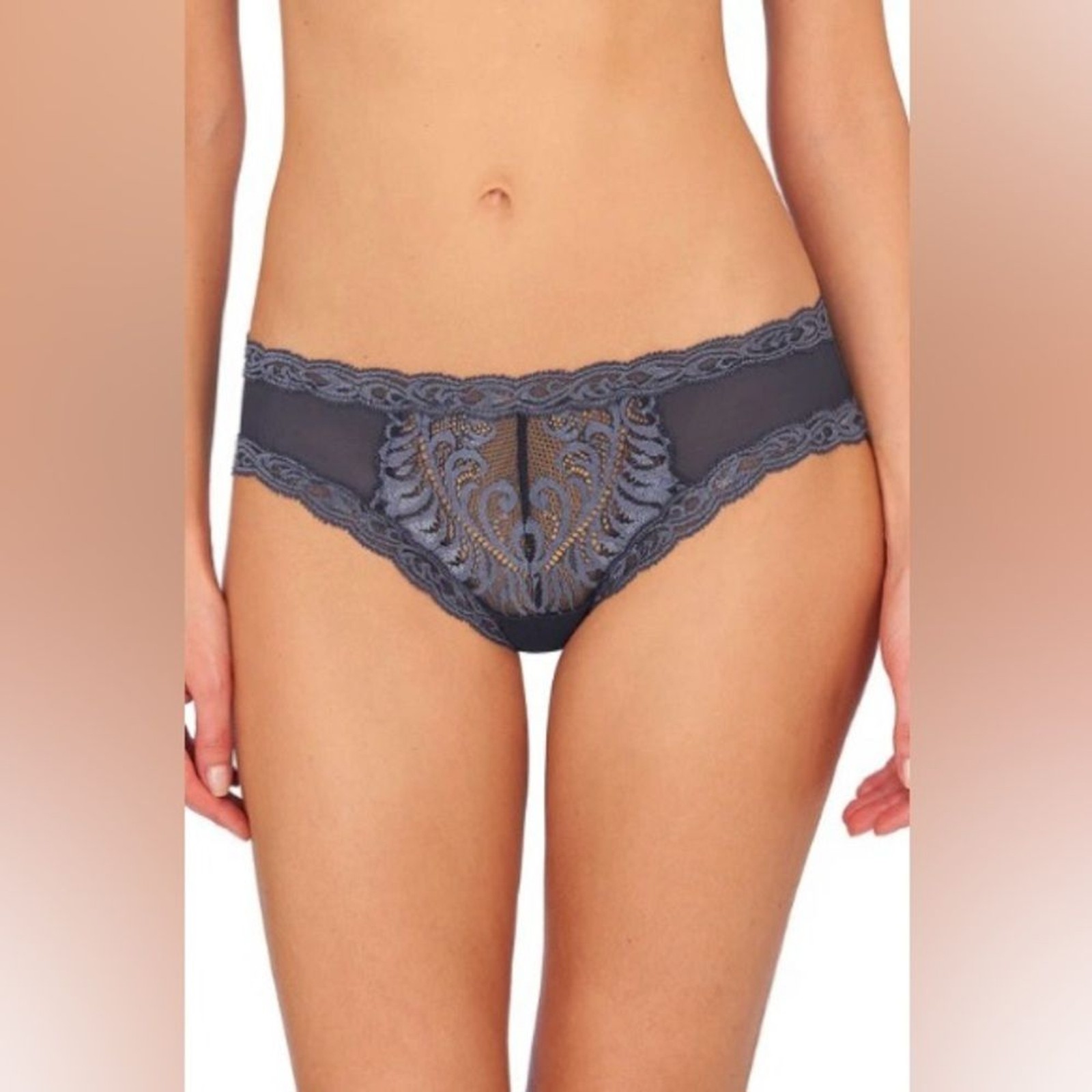 Natori Womens XL Ash Navy Feathers Hipster Lace Stretch Mesh Panties NWT