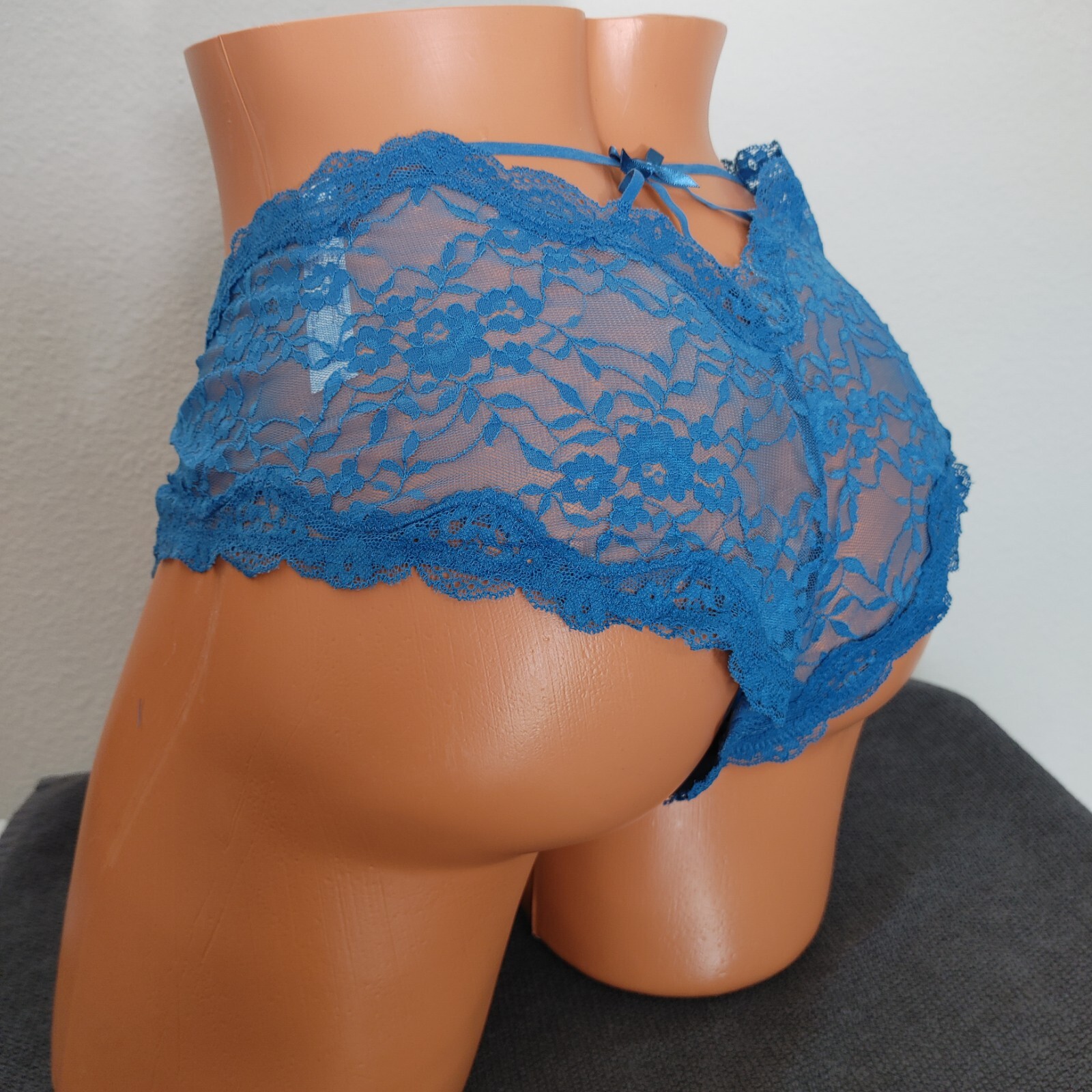 Lane Bryant Cacique Sexy Lingerie Cheeky Plus Panties 18/20 Blue Lace Sheer