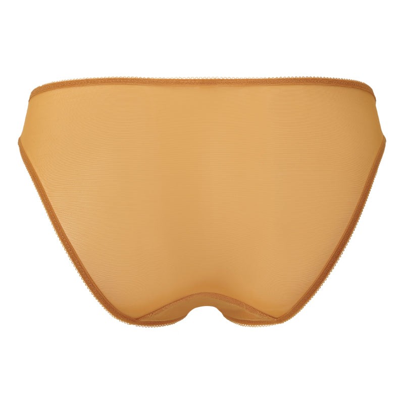 Gossard Glossies Lace Spiced Honey Sheer Bikini Panty NWT Sheer Lingerie 13003