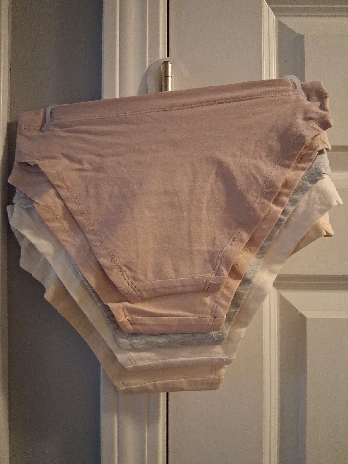 Danskin Organic Cotton Bikinis Panties Pack of 5 Size Small Earth tones NWT + 🎁
