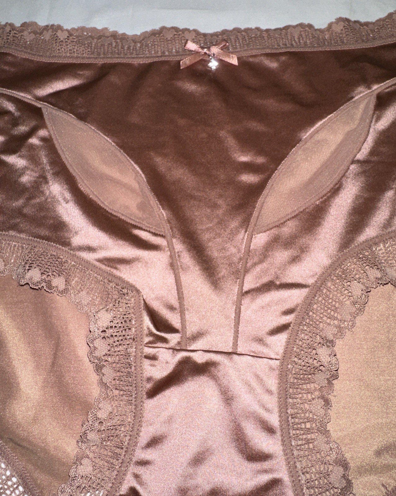 ~Shiny Large Rose Champagne Gem Nylon Lace Blended Panties W/Bow New Heart Lace