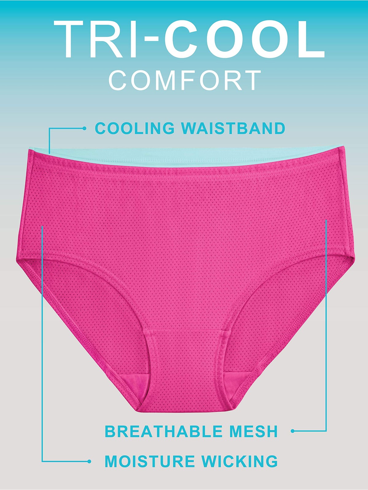 Fruit of the Loom Women’s Hi-Cut Micro Mesh Underwear Briefs 13 Pack