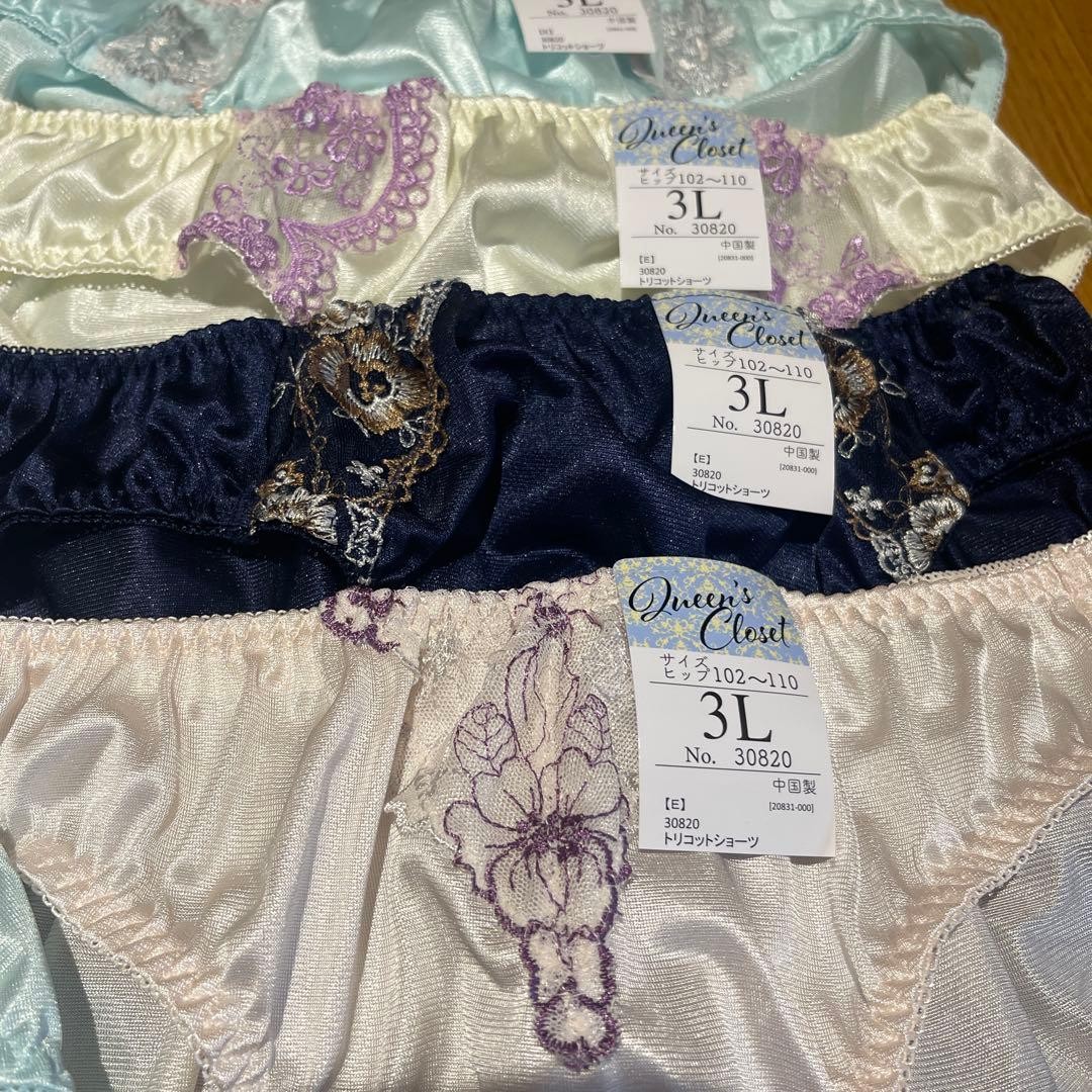Japanese Glossy Nylon Panties Floral Lace Brief Set of 10 US size L-XL, JP 3L