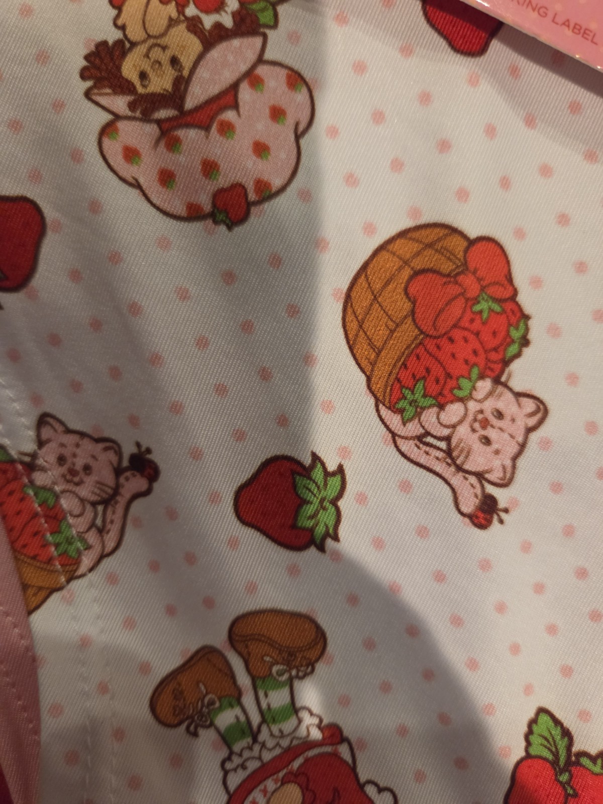 Nwt Strawberry Shortcake Juniors Bikini Underwear 5 Pack L Large Custard