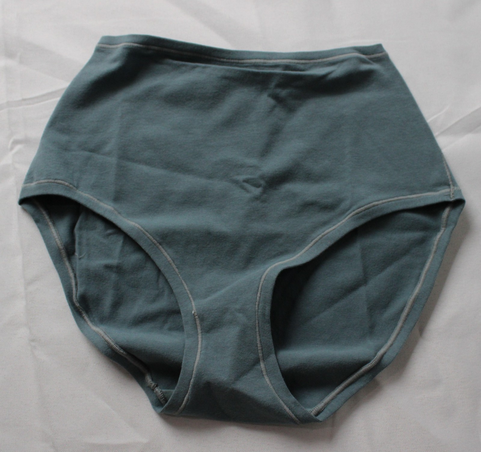 Skims Women’s High-Waisted Cotton Jersey Full Brief MS7 Kyanite Small NWT