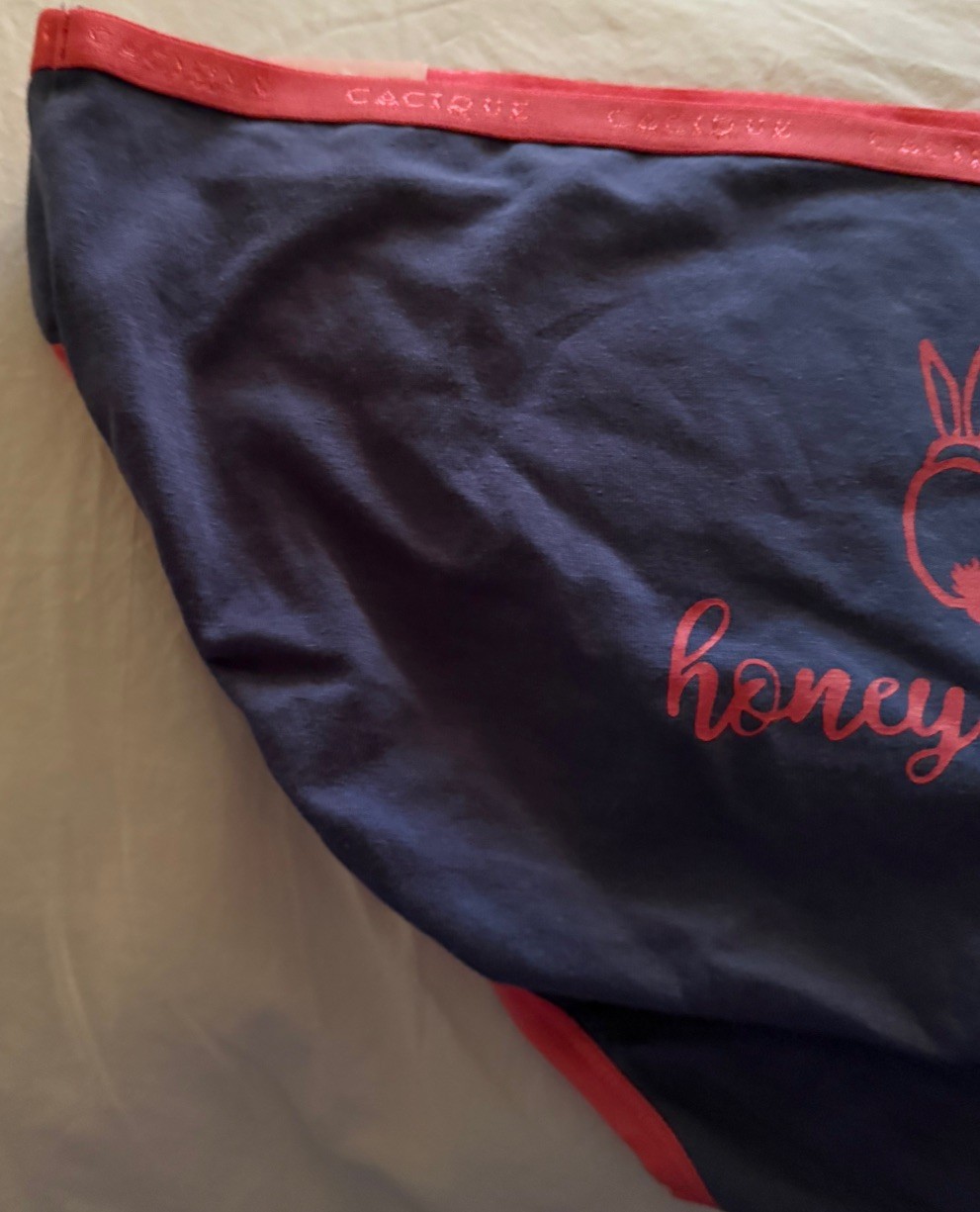 NWT Cacique Cotton Honey Bunny Hipster Lane Bryant Sz 12 Blue & Pink