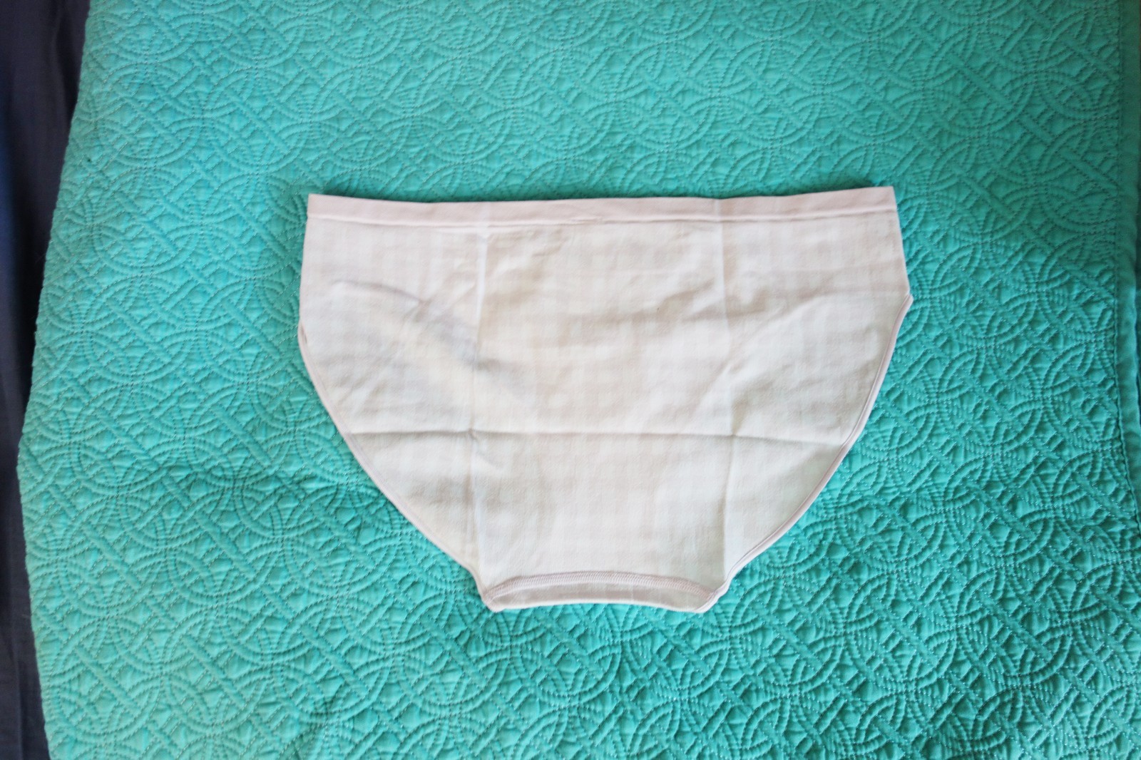 Victoria’s Secret PINK Seamless White and Purple Gingham Bikini Panty (L) NWT!