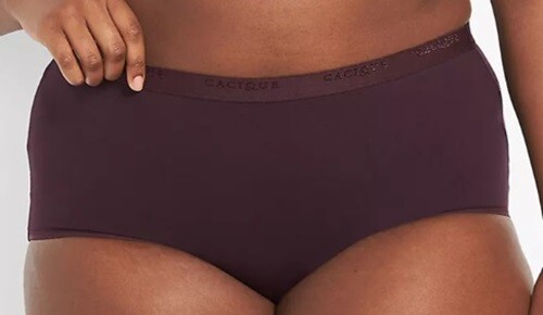 LANE BRYANT Cacique Sassy COTTON Full Brief Panty 18/20 22/24 NEW WITH TAG & BAG