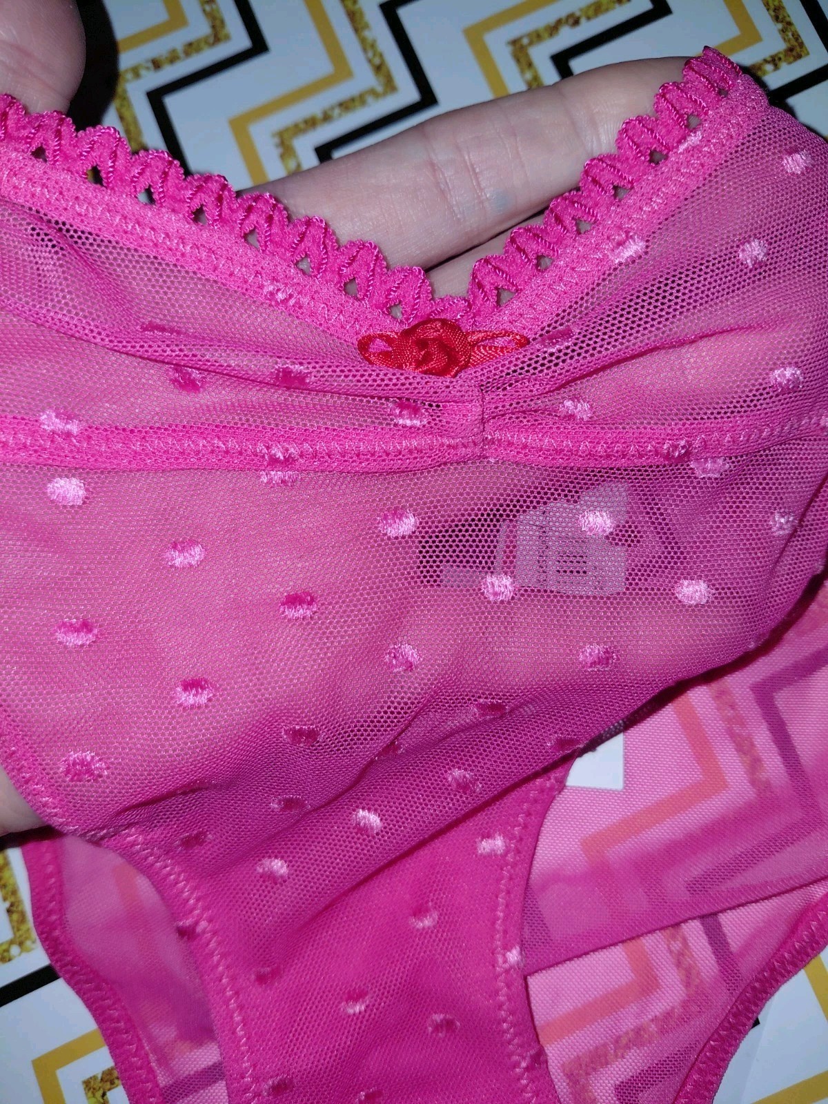 Adore Me/VS Floral Lace/ Flocked mesh Bikini Panty NEW Size Small Hot Pink