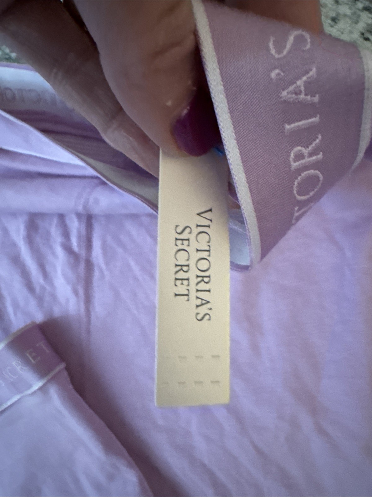 Victoria’s Secret Boy Briefs Slip Lavender Panties Lingerie, XXL Adult 2 Pair