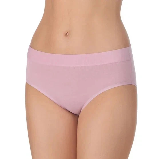 Carole Hochman Women’s 5-Pack Full Coverage Stretch Hipster, Multicolor, L