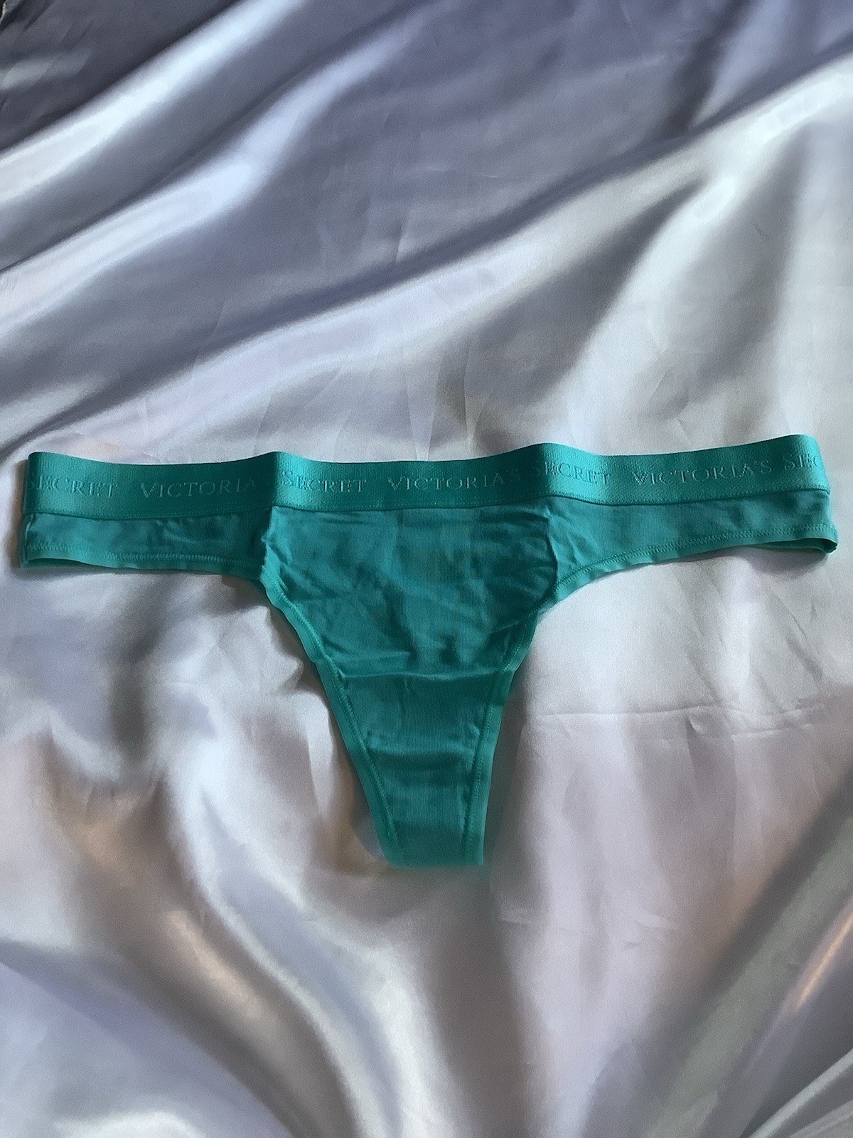 Victoria’s Secret PINK Women’s Thong Panties Band Logo Blue Turquoise 1pk Large