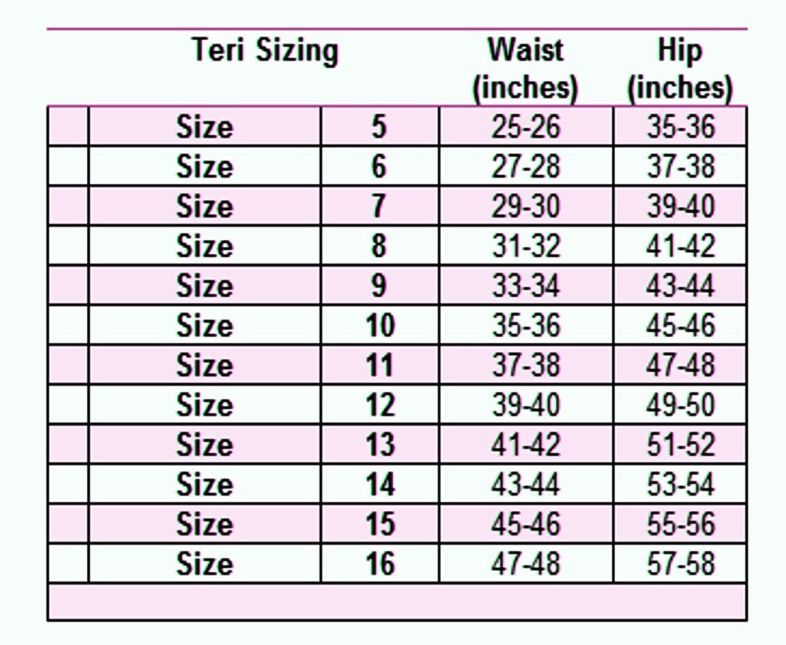 Teri’s Soft Silky Nylon Panty Brief – 3 Pair – Wine – Size 11 -4X