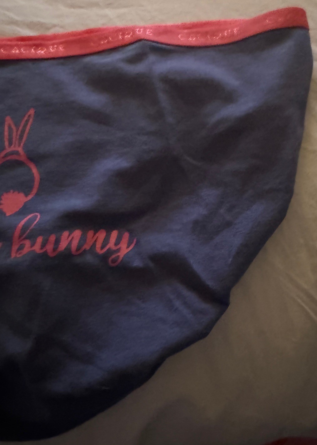 NWT Cacique Cotton Honey Bunny Hipster Lane Bryant Sz 12 Blue & Pink