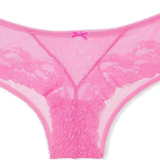 M Spring Taffy Pink Rose Floral ALL MESH Dot Victorias Secret CHEEKY Brief Panty