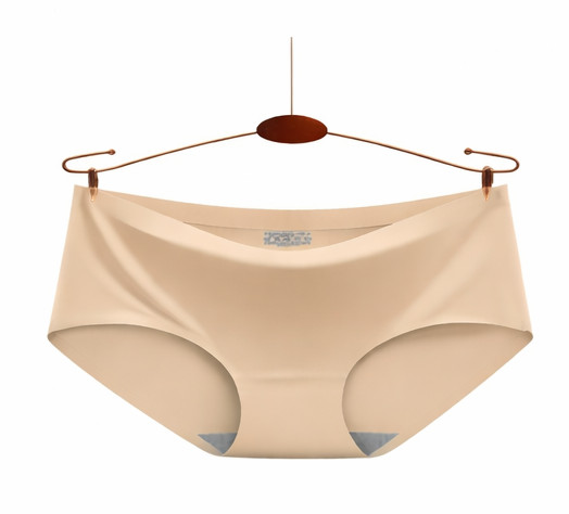 Ladies Panties Ice Silk Seamless Knickers Comfort Underwear Soft Smooth 3/6 Pack