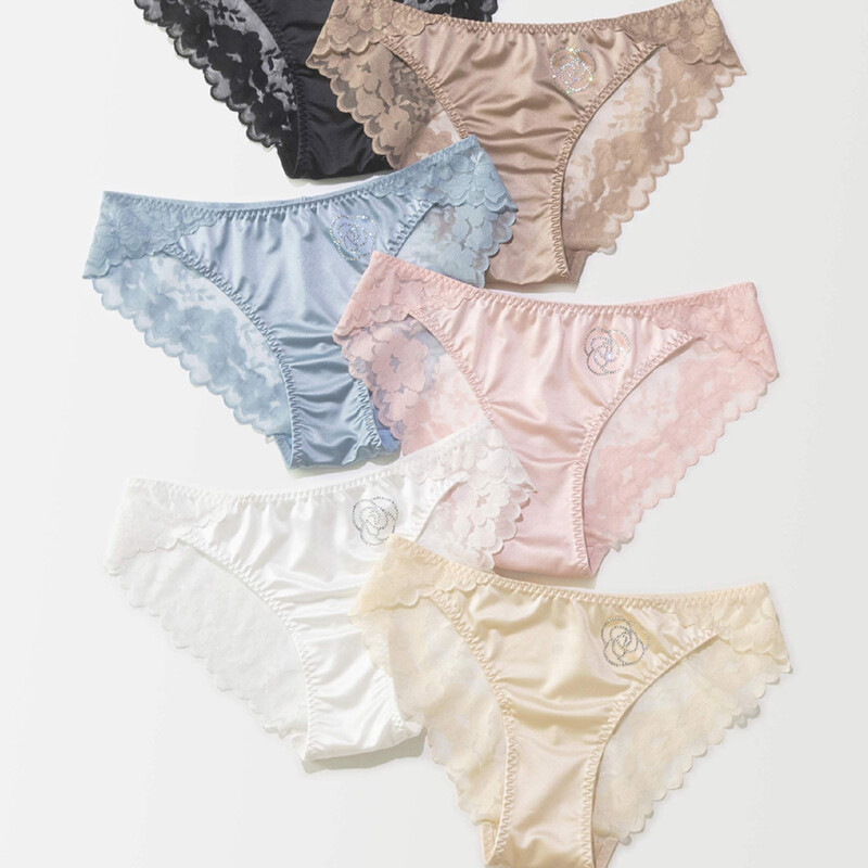 Set Of 6 Sexy Womens Silky Satin Panties Briefs Seamless Sheer Lace Lingeries