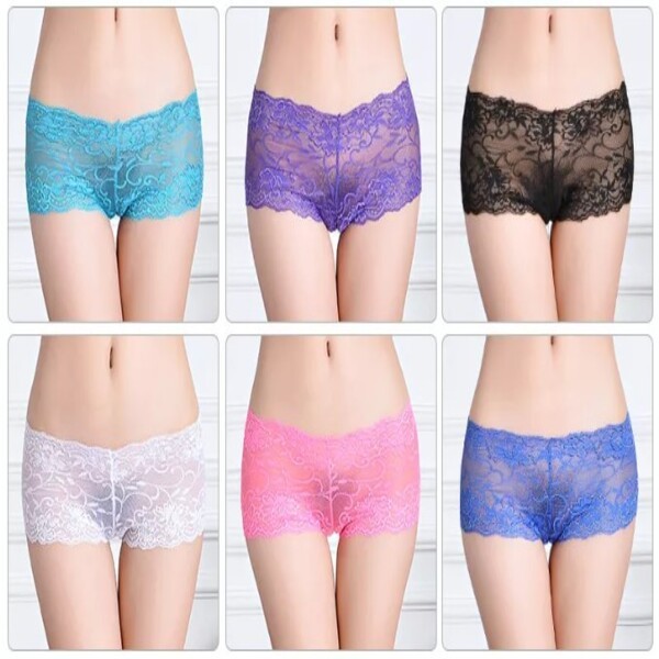 6 x Womens Sheer Nylon / Cotton Briefs – Assorted Colours Underwear Undies 86831