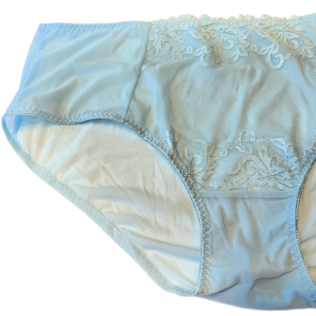 Splendies Blue Celina Lace Bikini Panties Size 4x Floral Lingerie Underwear New