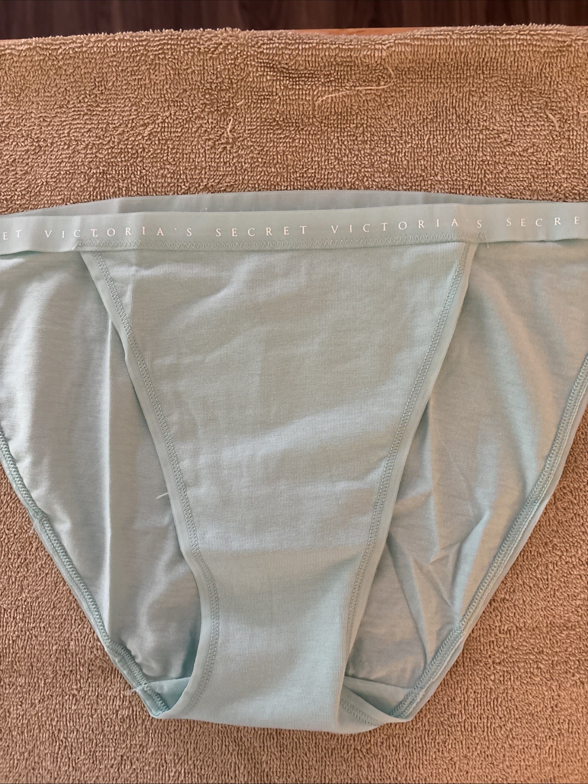 Victoria’s Secret Large Mint Green Cotton String Bikini Panty