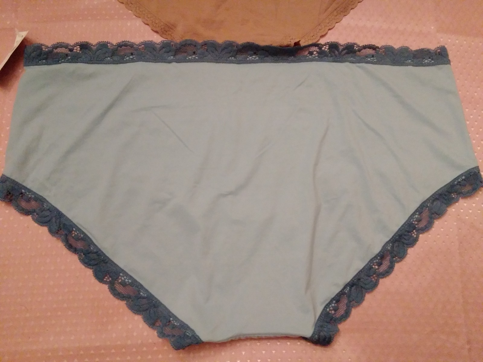 Panties 2 Pair Aerie Boybrief Lace Trim Underwear Brown Blue XXL