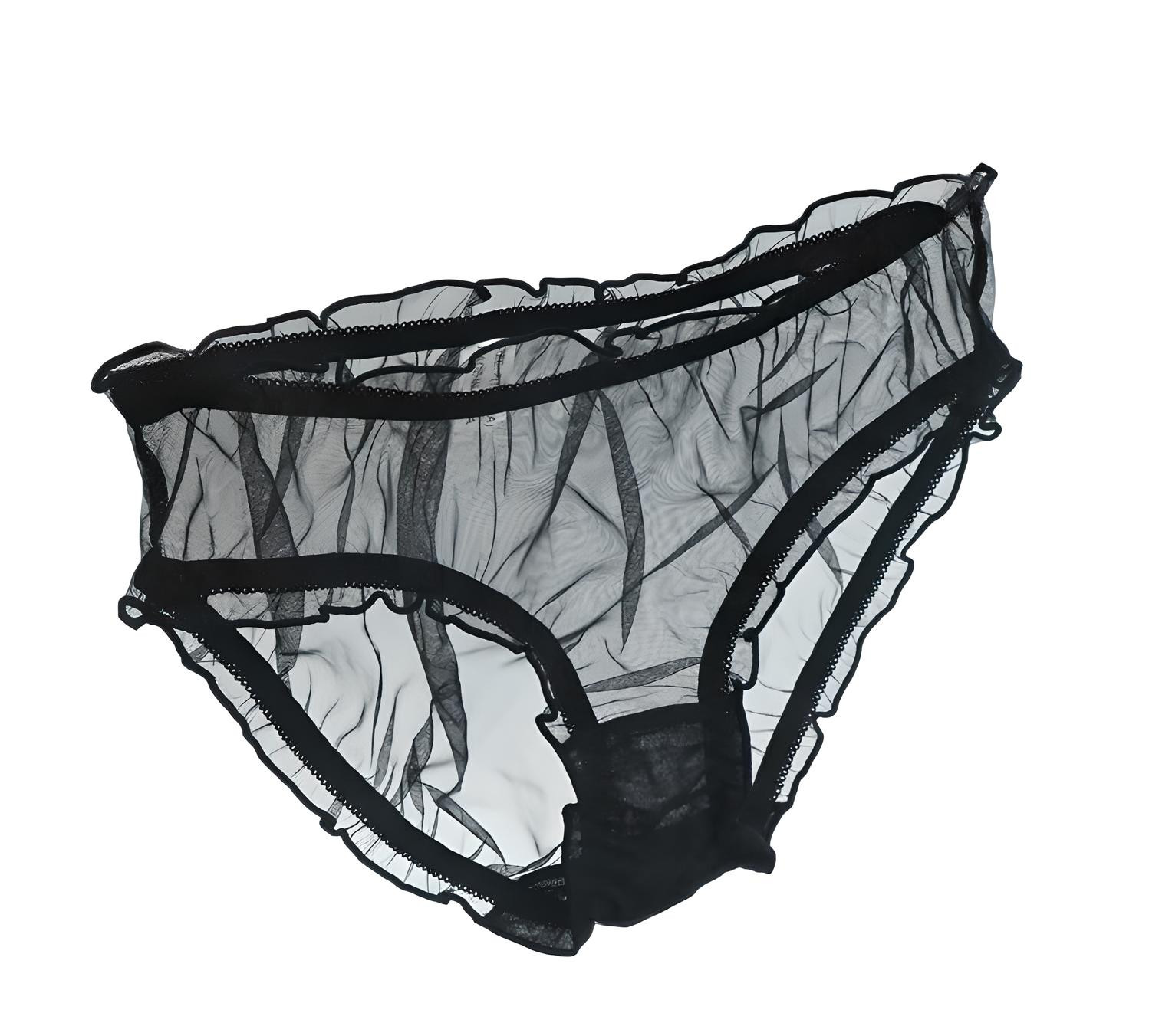 Vintage Style Completely Sheer Transparent Nylon Panties Retro look Sexy NEW