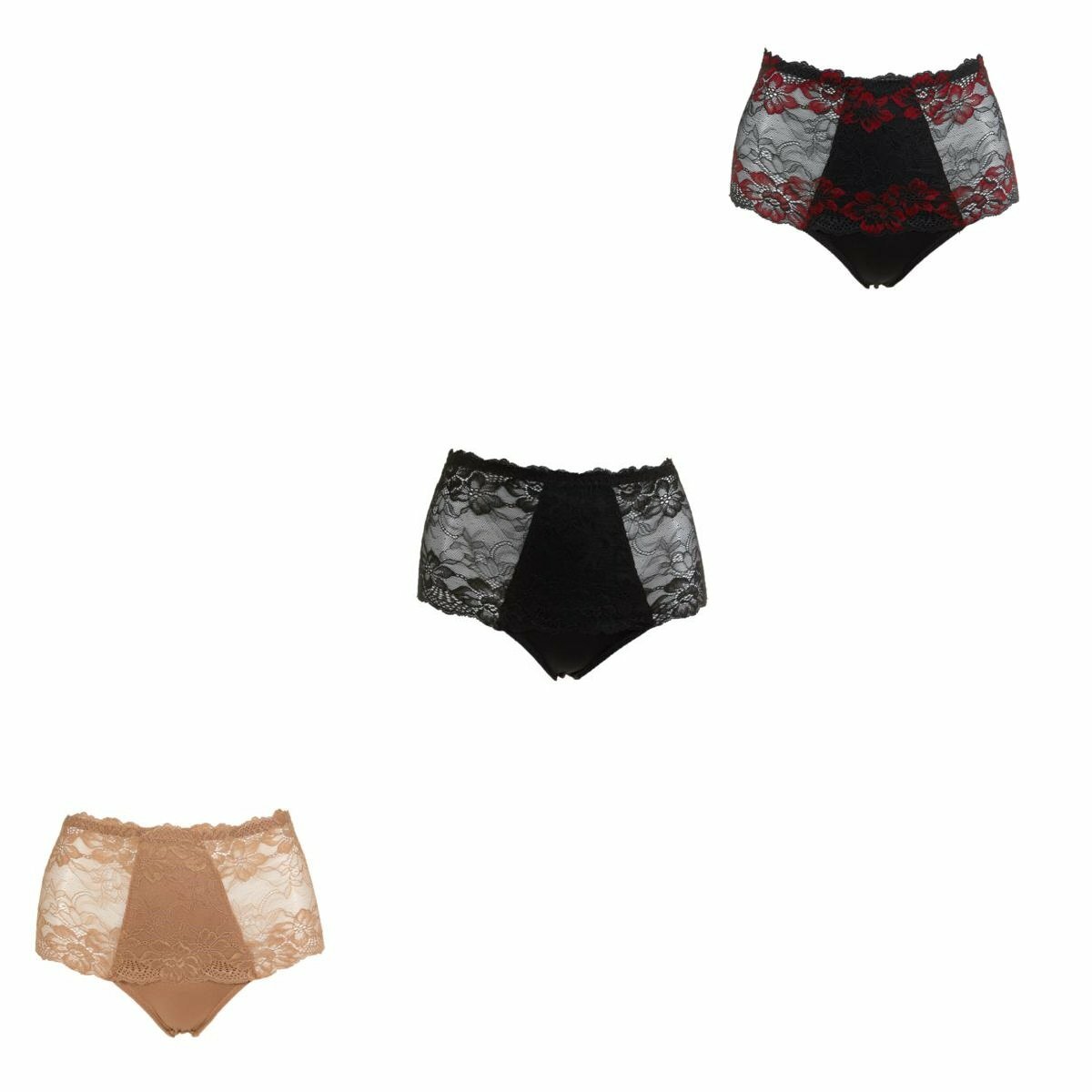 Rhonda Shear Lace Overlay Pin-Up Brief 3-Pk-583518-Classic Beauty-Medium-NEW