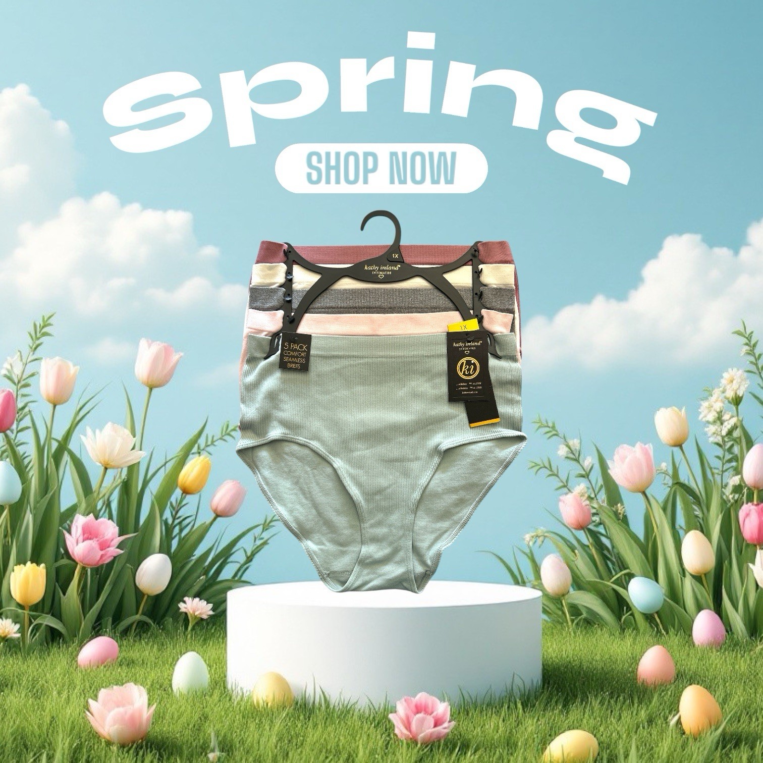 Kathy Ireland 5 Pck Multicolor Comfort Seamless Briefs PLUS SIZE 1X- GREAT FIT !