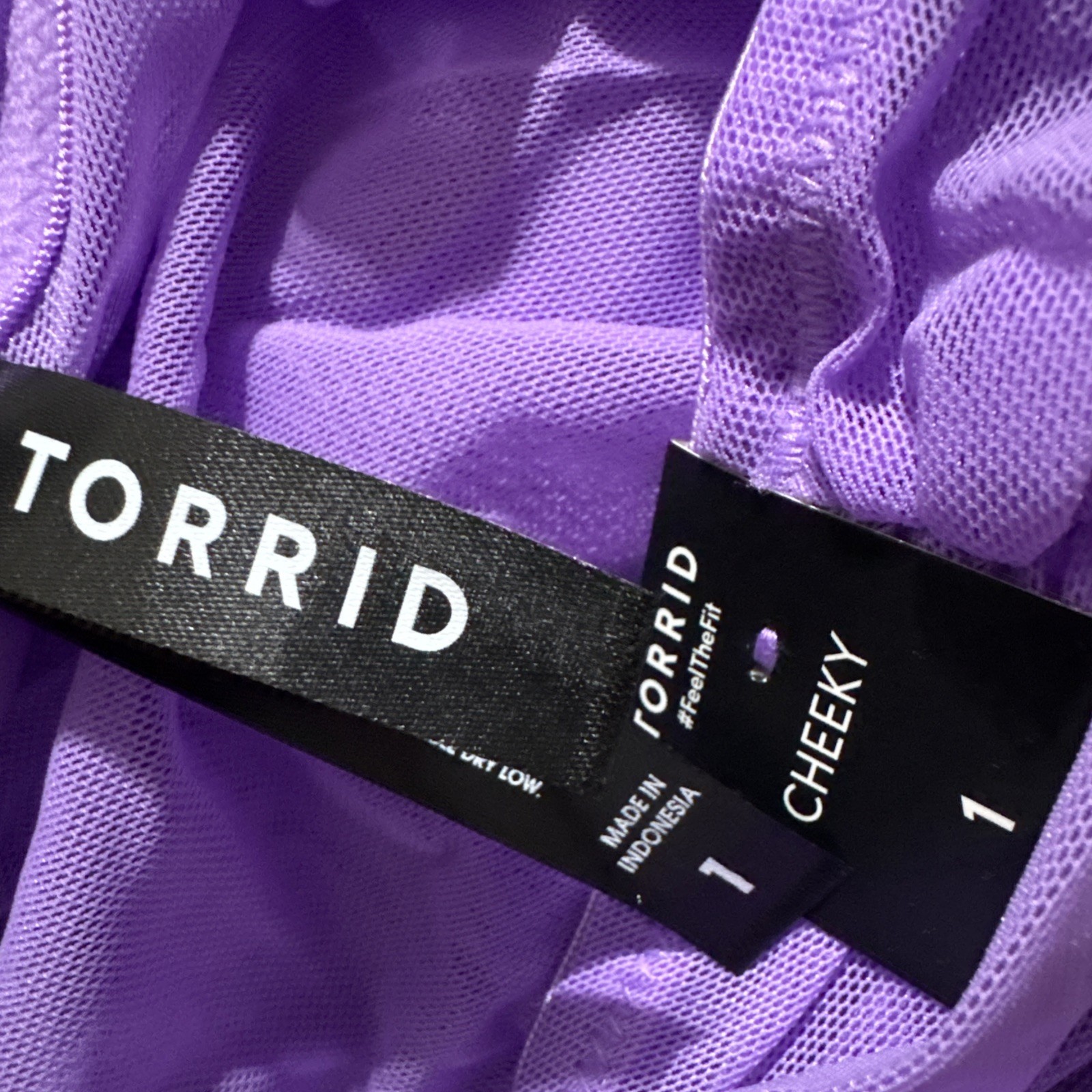 Torrid Purple Lavender Ruched Bow Sheer Mesh Cheeky Panty Plus Size 1 1X 14/16