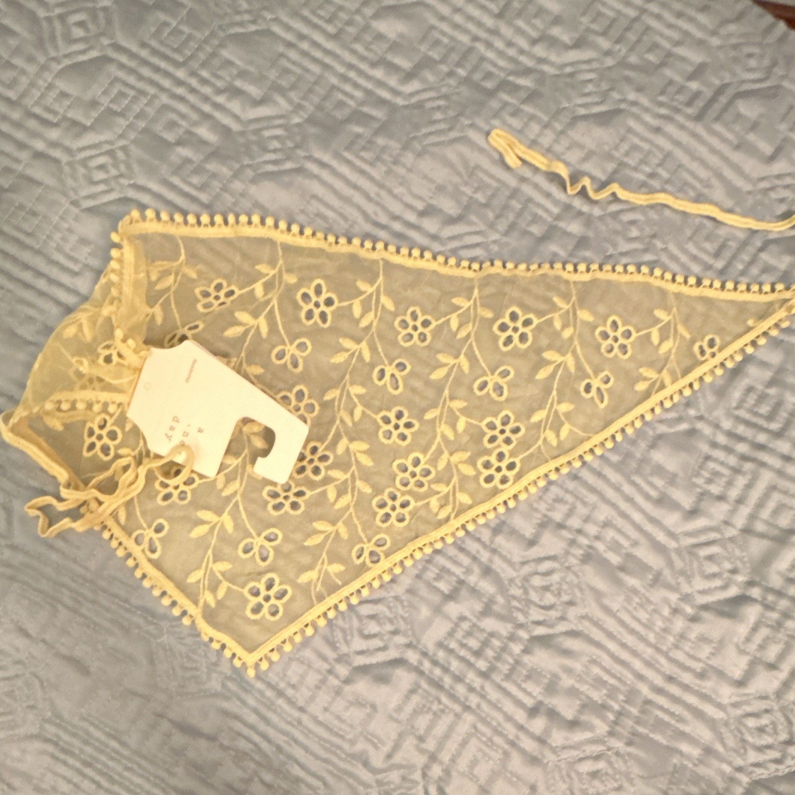 A New Day Women’s Brief Panties One Size Beige Sheer Lace Floral Embroidered