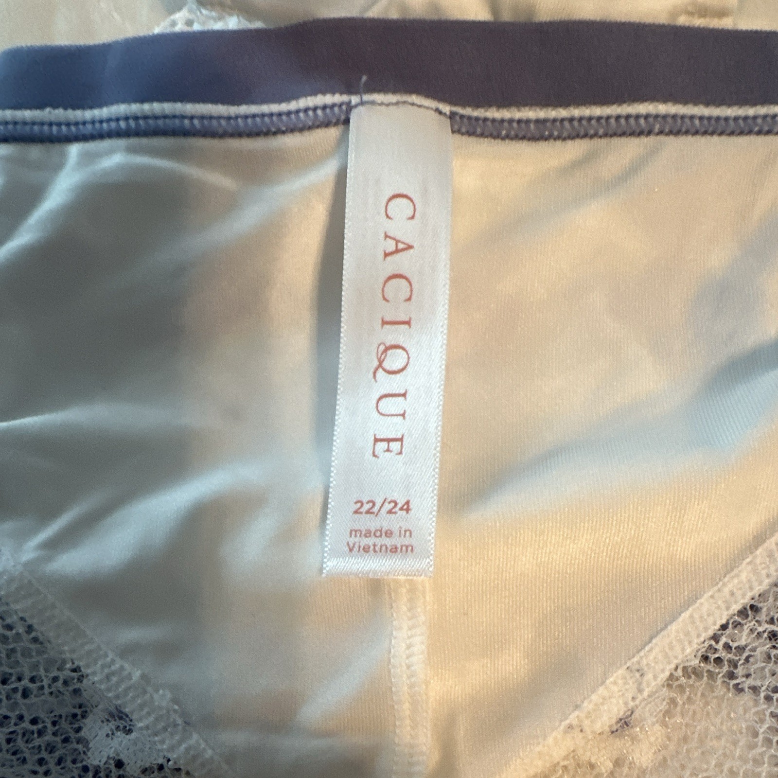 Lane Bryant Cacique Stretch Lace Hipster Panty sz 22/24 (4708)