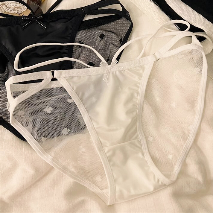 5Pack Lot Sexy Womens Satin Panties Brief String Bikini Sheer Underwear Lingerie