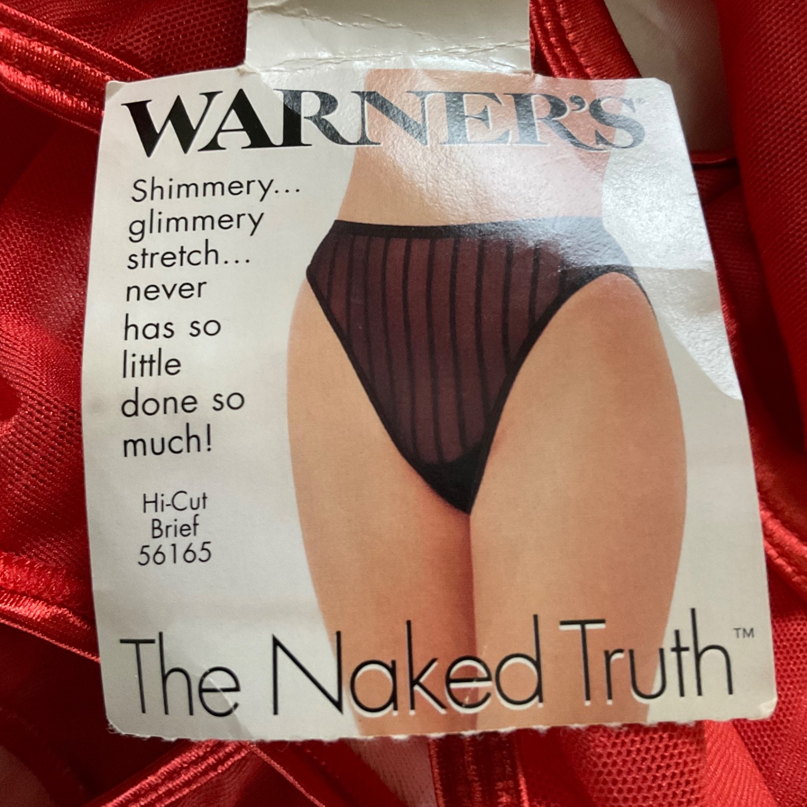VINTAGE WARNERS THE NAKED TRUTH RED SHIMMERY SHEER BRIEF PANTIES Size 9 NWT