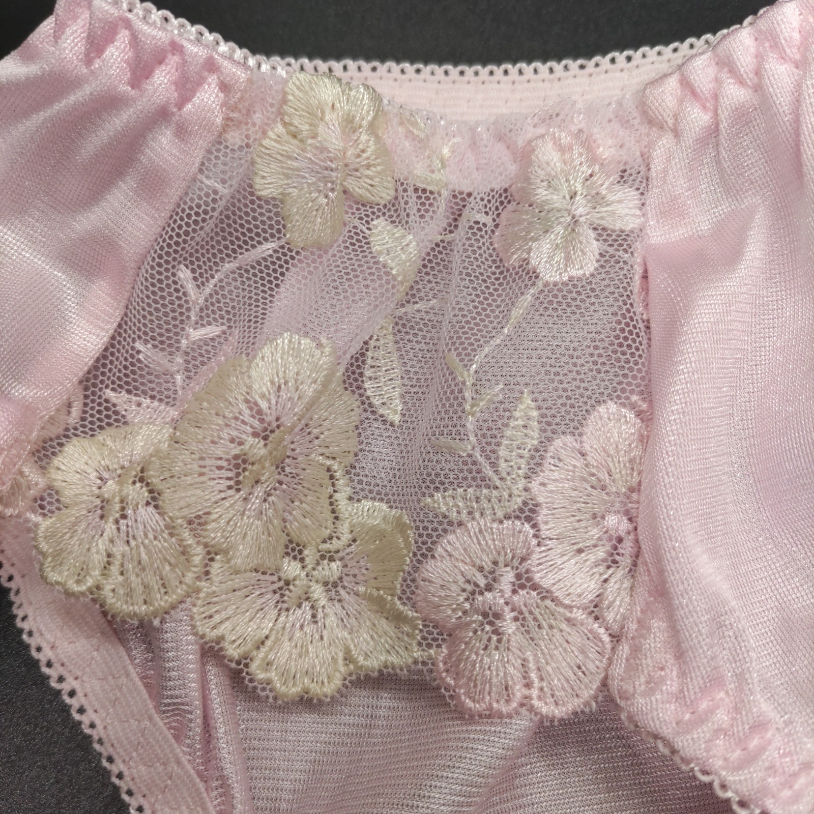 US SIZE 2XL SHINY NYLON TRICOT PANTIES from Japan