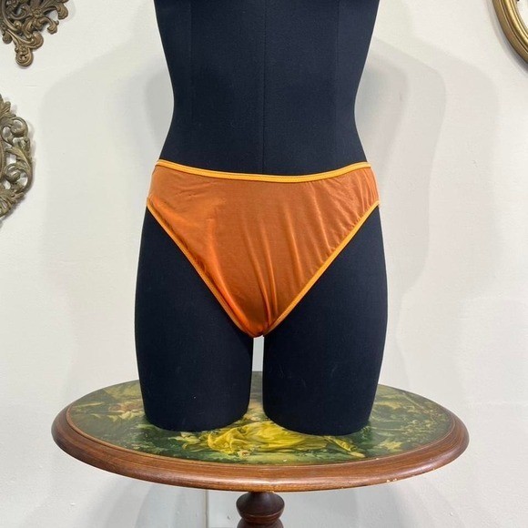 Vintage 90s Victoria’s Secret Sheer Mesh Bikini Panties – Burnt Orange – Size L