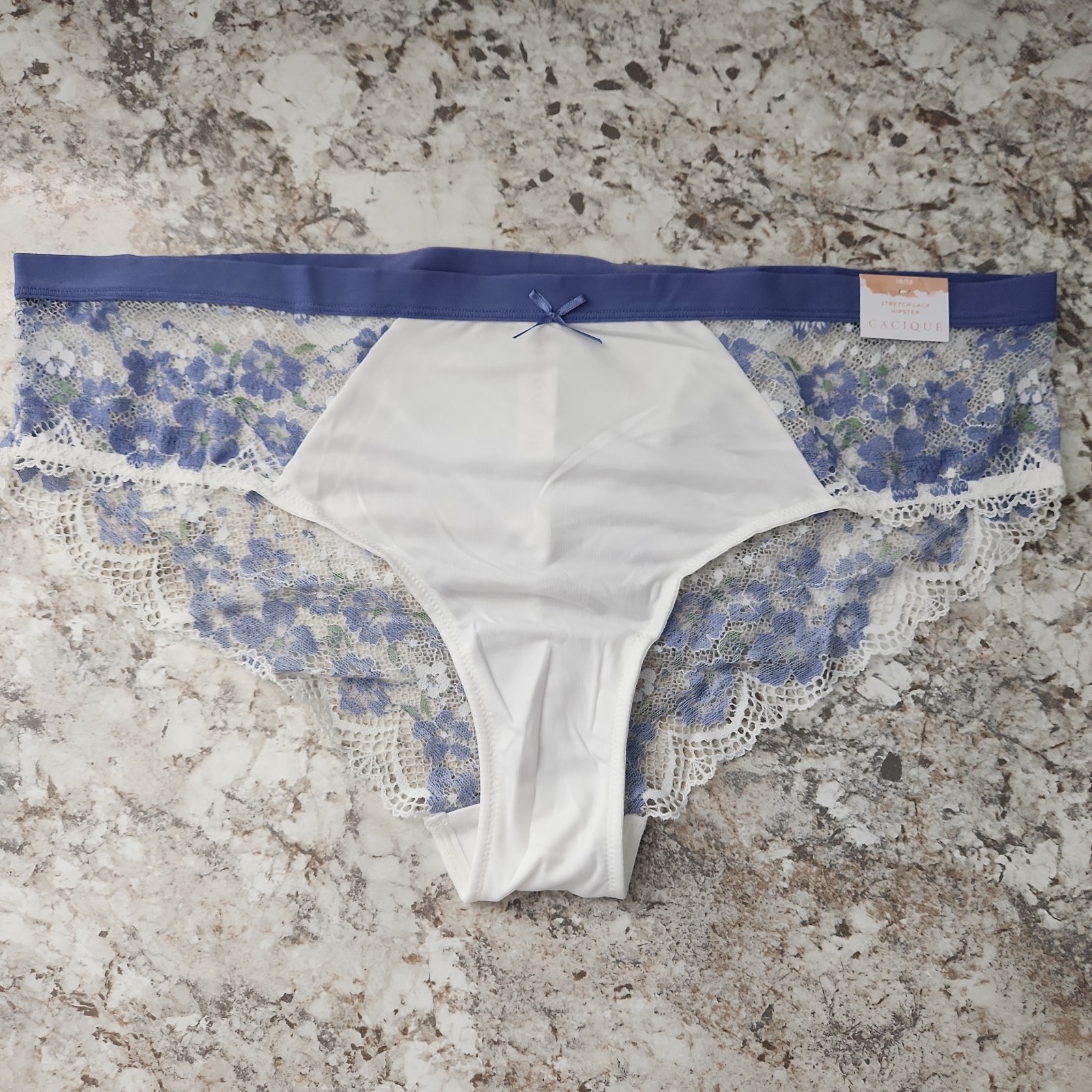 Cacique Lane Bryant Floral Lace Hipster Panties Purple White Sheer Sexy 10/12