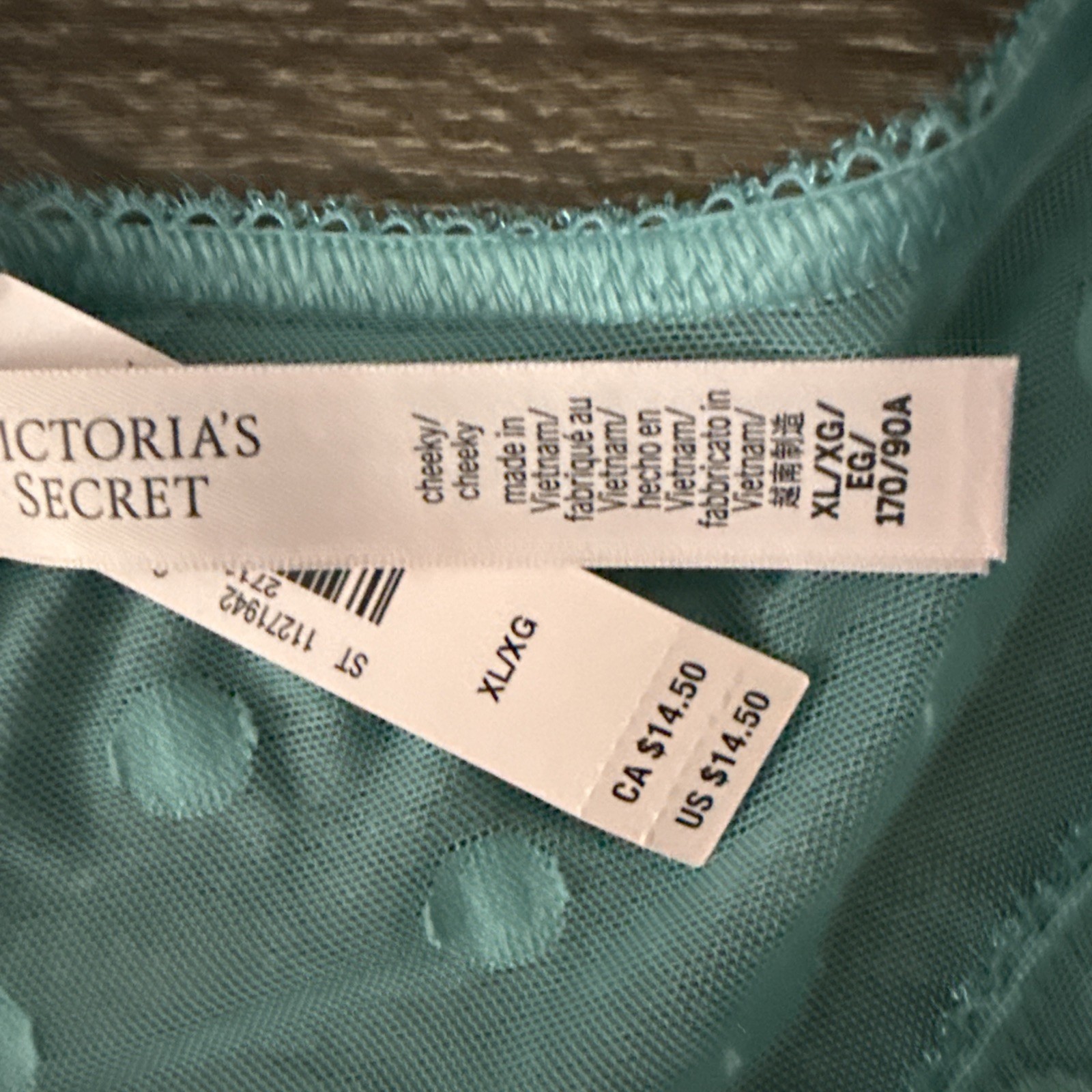 Victoria’s Secret Xl Teal Blue Sheer Mesh Cheeky Panties
