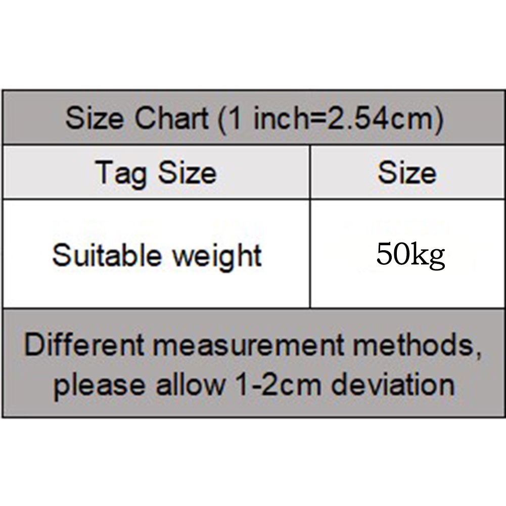Unique Mesh Hollow Low Waist Panties for Women Stylish and Comfortable