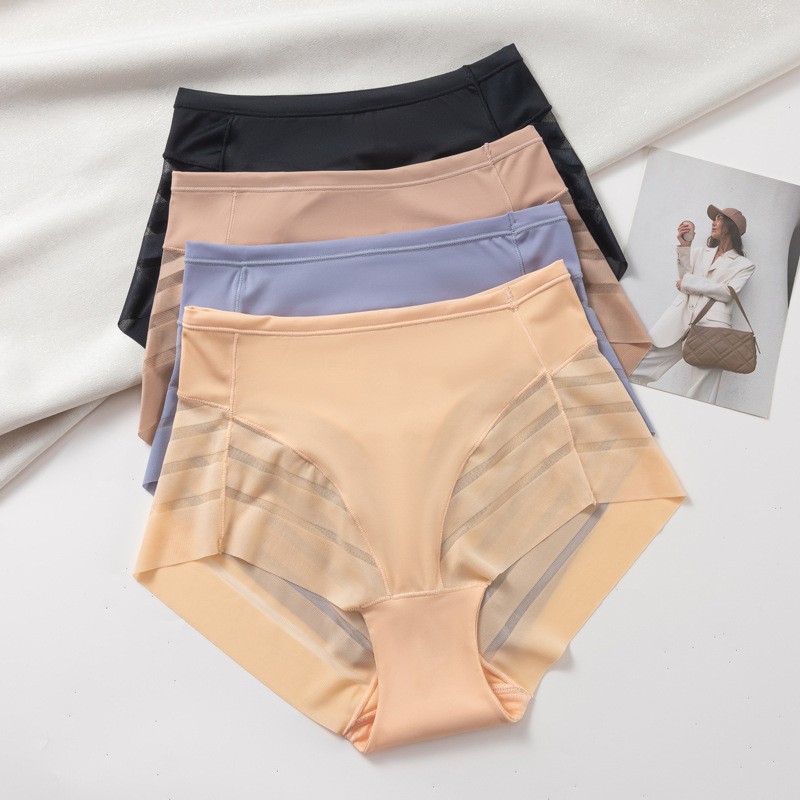Womens High-rise Briefs Nylon Comfort Soft Stretch Transparent Underwear Panties