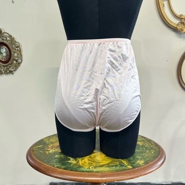 NWT Vintage Vanity Fair Perfectly Yours Ravissant Brief – Blushing Pink