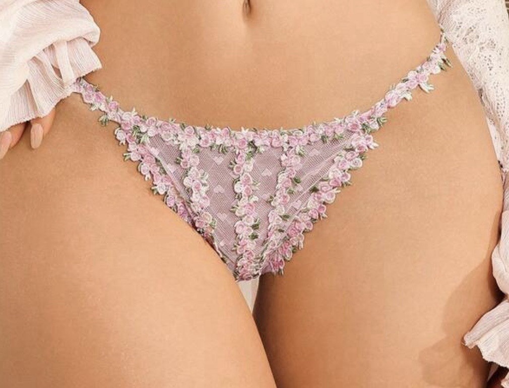 Sheer Pink 💕Mesh w Floral Embroidered Detail String Bikini Panties XL NEW
